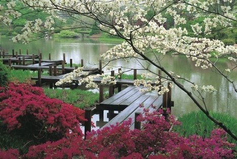 The zen of a japanese garden | 1001 Gardens ideas ! | Scoop.it