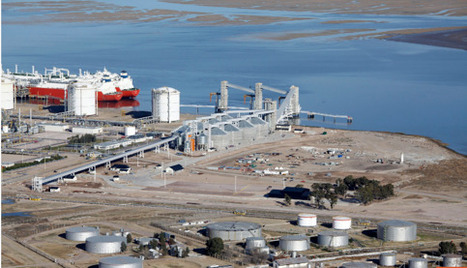 LDC to Build New Sunflower & Soy Processing Plant   in Bah&iacute;a Blanca, Argentina  | ITERG - Veille sectorielle | Scoop.it
