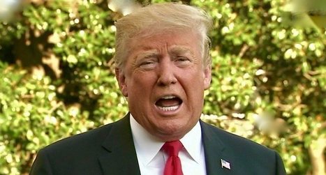 Trump may have broken international law with ‘grossly unjustified use of a chemical weapon on protesters’: ACLU – Raw Story | Backstabber Watch | Scoop.it