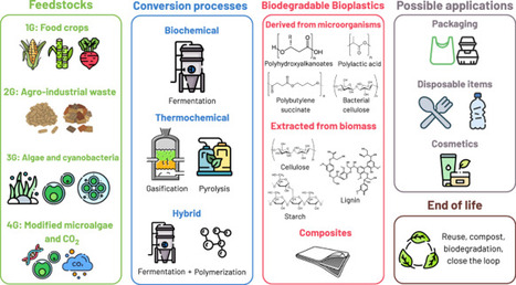 Biorefinery-based production of biodegradable bioplastics: advances and challenges in circular bioeconomy | npj | RMH | Scoop.it