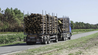 Apr&egrave;s les incendies de 2026 3,5 millions de m&sup3; de bois posent un nouveau d&eacute;fi &agrave; la for&ecirc;t des Landes de Gascogne | Nouvelle-Aquitaine | Scoop.it