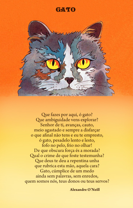 O gato e a poesia – Le chat et la poésie d’Alexandre O’Neill | Le chat dans tous ses états - Gatos... gatinhos e gatarrões! de Catherine Labey | LIVROS e LEITURA(S) | Scoop.it