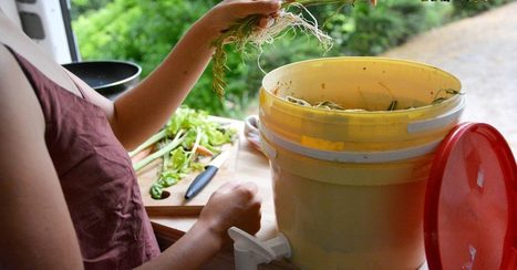 [vidéo] Bokachi : Le composteur de cuisine | Build Green, pour un habitat écologique | Scoop.it