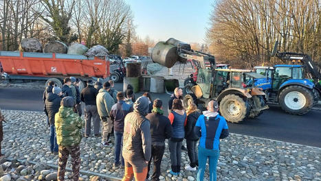 Les agriculteurs des Hautes-Pyrénées manifestent aux entrées de l'A64 à Tarbes et en direction de la vallée d'Aure | Vallées d'Aure & Louron - Pyrénées | Scoop.it