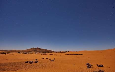 Le désert du Sahara a grandi de 10 % en un siècle | Agir pour la biodiversité ! | Scoop.it