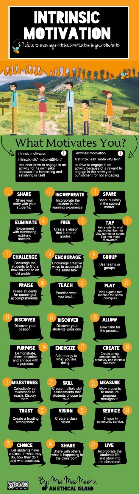 Intrinsic Motivation for the Classroom | Going Game Based with Learning | Scoop.it
