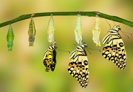 The Future of Professional Learning: 4 Design Principles that Transform | Out of #SchoolCocoon | 21st Century Learning and Teaching | Scoop.it