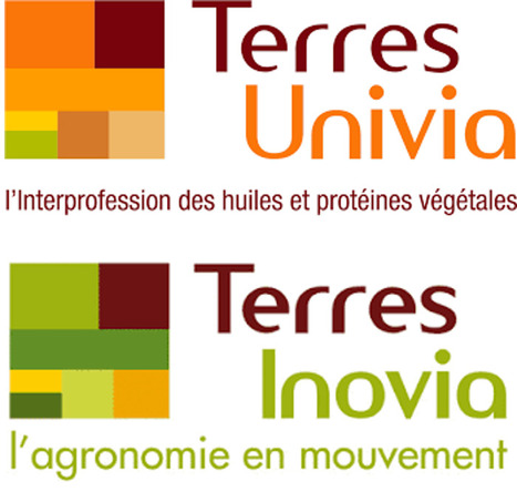 Point éco : les résultats économiques à la production en grandes cultures | CORPS GRAS | Scoop.it