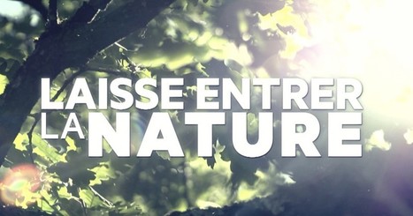 [Vidéos] Quand la filière bois "Laisse entrer la nature" dans les constructions | Build Green, pour un habitat écologique | Scoop.it