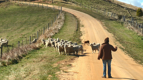 As climate change bites, farmers sow seeds for a new agricultural era – | GTAV AC:G Y9 - Biomes and food security | Scoop.it