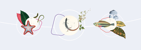 Open Science for Biodiversity Research: GBIF Ebbe Nielsen Challenge 2026 Open for Applications | Life Sciences Universit&eacute; Paris-Saclay | Scoop.it