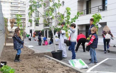 Courbevoie : des plantes &agrave; la place du bitume all&eacute;e des Vignerons | Paysage - Agriculture | Scoop.it