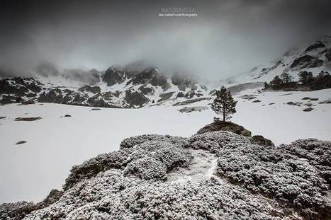 Bastan, fin mai 2014 -  Jean-Gabriel Soula | Facebook | Vall&eacute;es d'Aure & Louron - Pyr&eacute;n&eacute;es | Scoop.it
