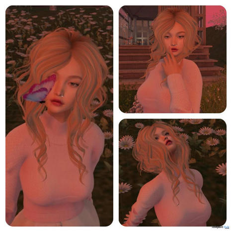 Yna Shape For Lelutka Lily 1L Promo by Pastel Beauty | Teleport Hub - Second Life Freebies | Second Life Freebies | Scoop.it