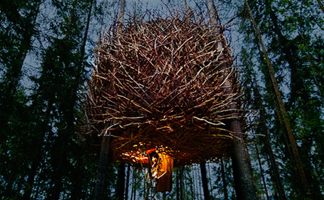 Tree Hotel en Suède | Découvrir, se former et faire | Scoop.it