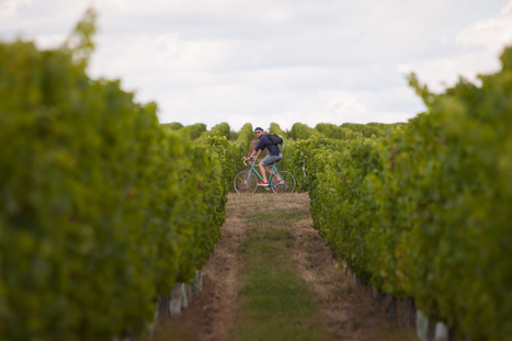 De l’Atlantique à la Méditerranée, le génial canal des 2 Mers à vélo ! - Aparté | Loisirs Nature dans l'Hérault | Scoop.it