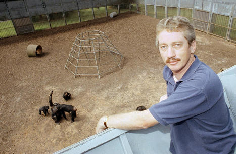 Frans de Waal, who explored empathy among apes, dies at 75 - The | Empathy Movement Magazine | Scoop.it