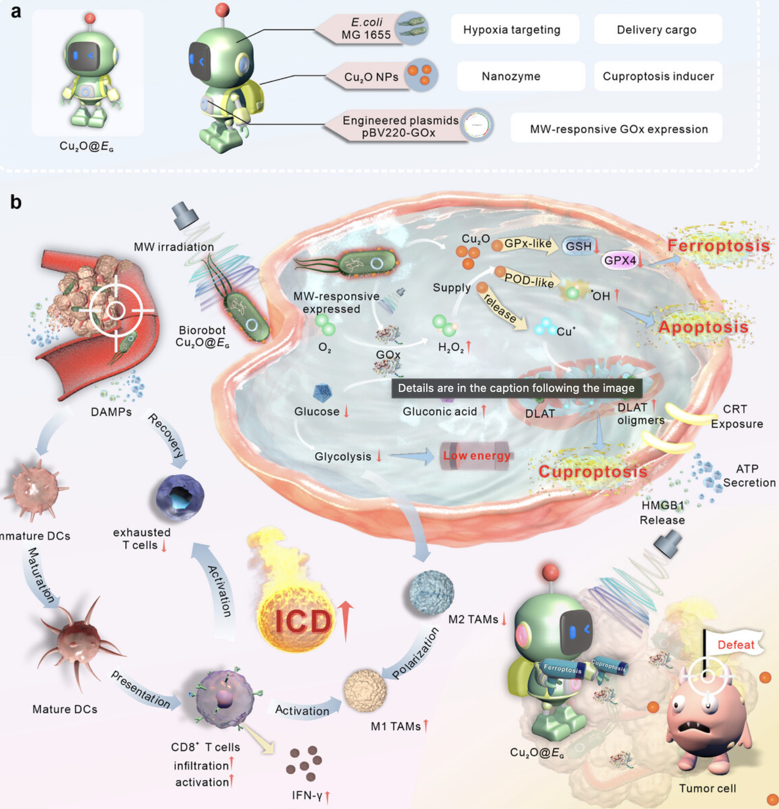 Microwave-Activated Bacterial Biorobot for Mult...
