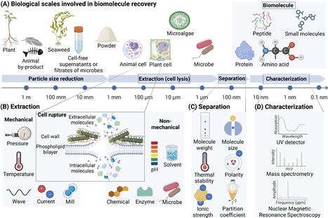 A practical guide to the discovery of biomolecules with biostimulant activity | jeb | RMH | Scoop.it