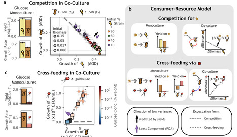 Least Component Analysis reveals ecological constraints in microbial communities | brveco | RMH | Scoop.it