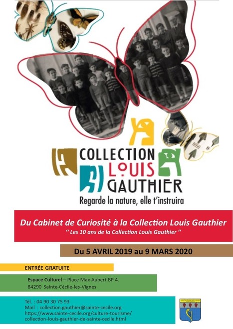 Jusqu'au 9 mars 2020 : Exposition : "Du Cabinet de curiosités à la Collection Louis Gauthier" | Variétés entomologiques | Scoop.it