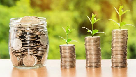 Les critères bancaires d'évaluation des dossiers d'installation agricole | Economie de l'Elevage | Scoop.it