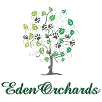 eden orchards cockapoo