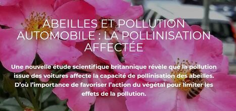 Abeilles et pollution automobile : la pollinisation affectée | ECOLOGIE - ENVIRONNEMENT | Scoop.it