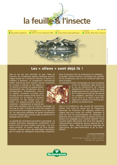 ONF - Parution du numéro 4 de la Feuille & l'Insecte | Variétés entomologiques | Scoop.it