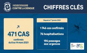 Dengue &agrave; La R&eacute;union : l&rsquo;&eacute;pid&eacute;mie poursuit sa progression | EntomoNews | Scoop.it