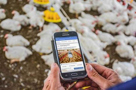 Quelle place pour les réseaux sociaux sur l'exploitation ? | Elevage et numérique | Scoop.it