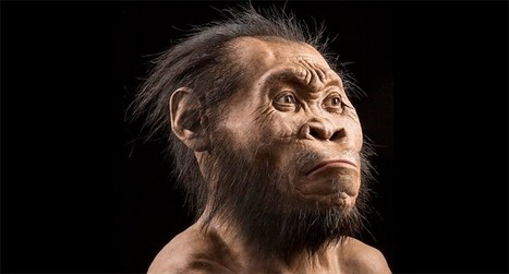 Este rostro cambia la historia humana. &iquest;C&oacute;mo? | History 2[+or less 3].0 | Scoop.it