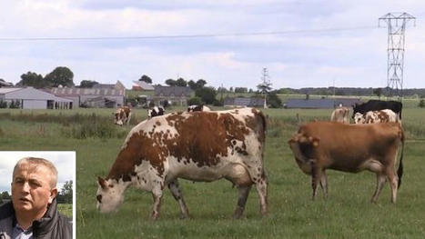 &Eacute;ric Deroyand, &eacute;leveur, a simplifi&eacute; ses pratiques pour gagner du temps | Actualit&eacute;s de l'&eacute;levage | Scoop.it