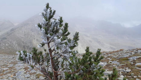 "Il reste de la neige comme si on était mi-juin" : la fonte de neige a de l'avance dans les Pyrénées | Vallées d'Aure & Louron - Pyrénées | Scoop.it