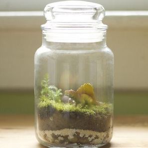 Cómo hacer un terrario - Las Manualidades | A bit of everything | Scoop.it