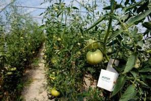 Dans la Dr&ocirc;me, une fabrique g&eacute;ante d'insectes utiles | Pour innover en agriculture | Scoop.it