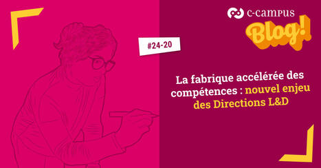 La fabrique acc&eacute;l&eacute;r&eacute;e des comp&eacute;tences* : nouvel enjeu des Directions L&D | Innovation et transformation p&eacute;dagogique | Scoop.it