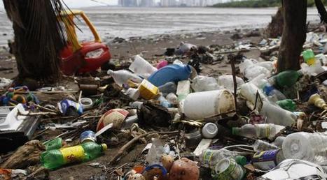 Comment la pollution humaine fait du plastique un nouveau type de roche | Toxique, soyons vigilant ! | Scoop.it