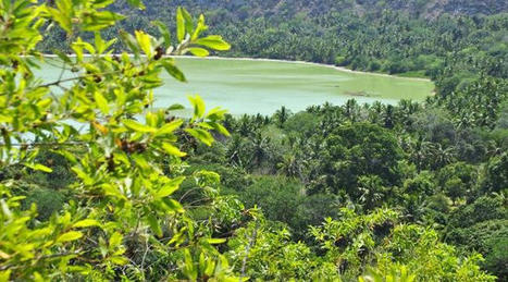 Mayotte : Création d’une réserve naturelle de 3.000 hectares pour protéger les forêts | Biodiversité | Scoop.it