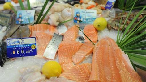 Lillebonne : Ville et commer&ccedil;ants &agrave; la recherche d&rsquo;une poissonnerie | Une semaine d'actu - Newsletter de veille de l'AURH | Scoop.it