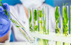 Oscotec/ADEL Initiates First-in-Human Dosing in Ph1 of Anti-MTBR Tau Antibody ADEL-Y01 In Alzheimer's Disease | NeuroImmunology | Scoop.it
