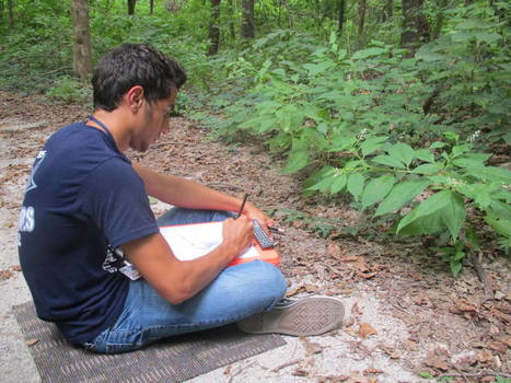 How Access to Nature During The School Year Can Help Students Thrive | MindShift | KQED News | Primary geography | Scoop.it