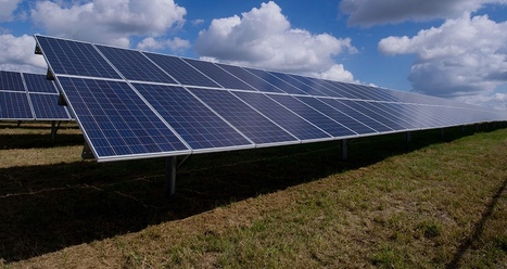 The Renewable Energy Smackdown Is Failing, Bigly | Industry 411 - Waste Management | Scoop.it