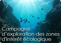 Ramoge | Biodiversité | Scoop.it