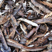 U.S. woody biomass prices have dropped the past three years | Timberland Investment | Scoop.it