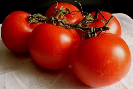 Filière de la tomate : un guide pour évaluer l’impact socio-économique, environnemental et nutritionnel des choix de productions - AFNOR | HORTICULTURE | Scoop.it