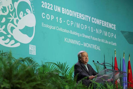 U.N. chief urges strong global nature deal to end 'orgy of destruction' - Reuters | Agents of Behemoth | Scoop.it