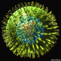 8 Different Kinds of Herpes Viruses - The Map Mag | Virology News | Scoop.it
