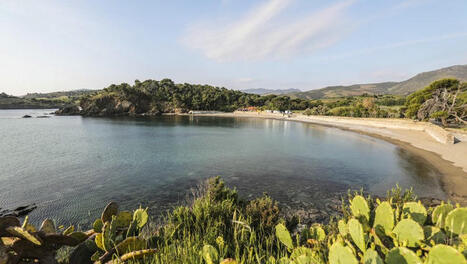 Le Conservatoire du littoral menacé de disparition, sa présidente Agnès Langevine lance une pétition | Variétés entomologiques | Scoop.it