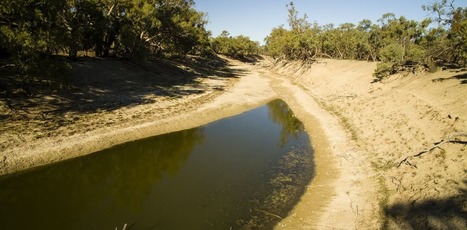 The Darling River is simply not supposed to dry out, even in drought | Curtin Global Challenges Teaching Resources | Scoop.it